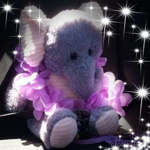 Meet your Posher, Cindy